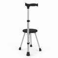 Adjustable Walking Cane with Folding Seat